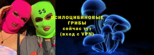 гашик Балабаново