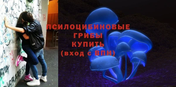гашик Балабаново