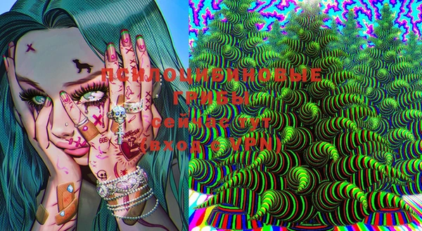 гашик Балабаново