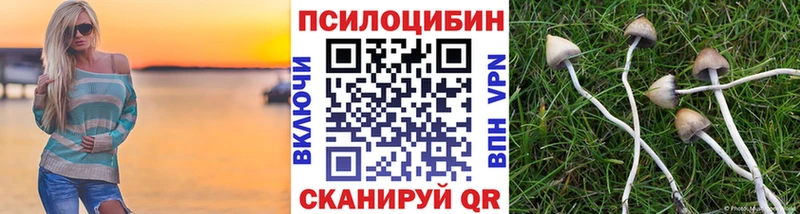 сайты даркнета клад  ссылка на мегу ТОР  Сафоново  Галлюциногенные грибы Psilocybe 